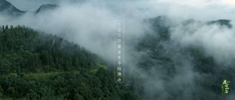 一个人硬钢TVC项目全流程KANG调色实验室 一个人硬钢TVC项目全流程KANG调色实验室