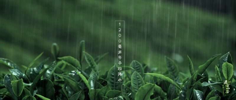 一个人硬钢TVC项目全流程KANG调色实验室1 一个人硬钢TVC项目全流程KANG调色实验室1