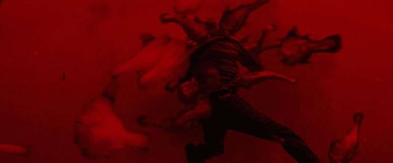 Piranha 3DKANG调色实验室10