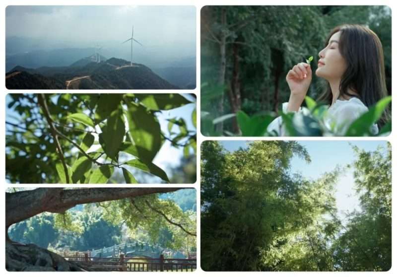 自然景观调色方法KANG调色实验室 自然景观调色方法KANG调色实验室
