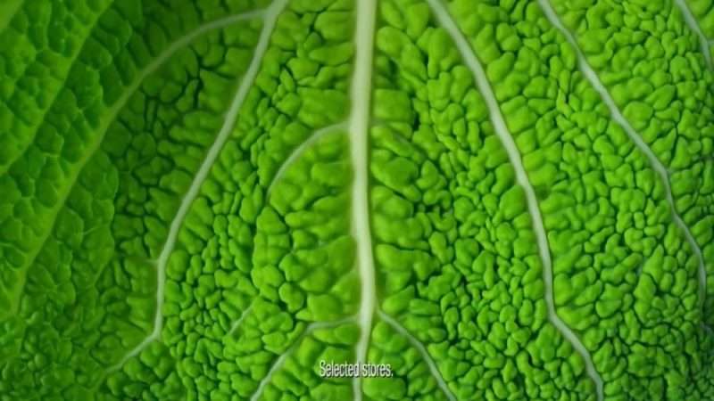 调色认知UP,高纯度固有色的魅力KANG调色实验室11 调色认知UP,高纯度固有色的魅力KANG调色实验室11