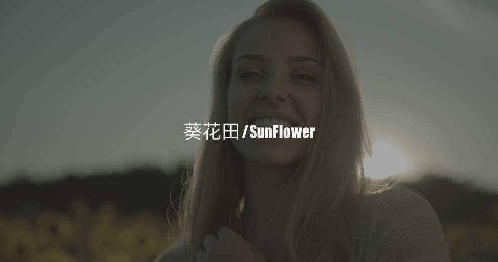 葵花田KANG调色实验室1