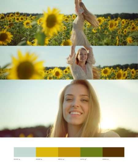 葵花田